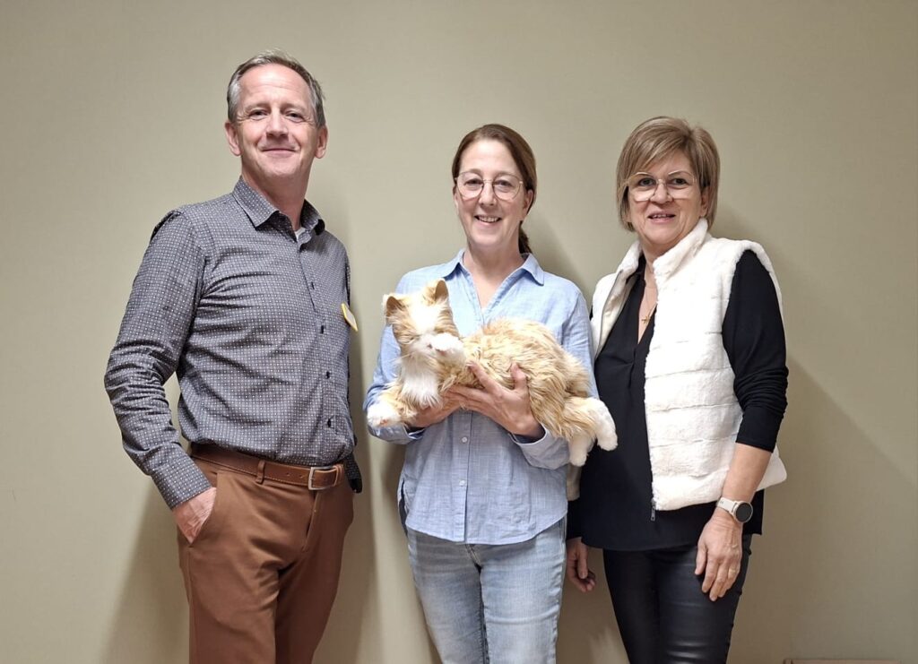 ÖVP Frauen spenden Katzen